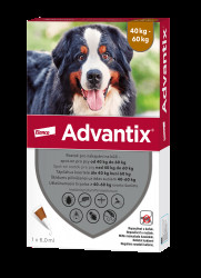 ADVANTIX pro psy 40-60 kg spot-on 6 ml