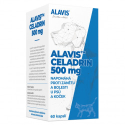 ALAVIS Celadrin 60 tablet