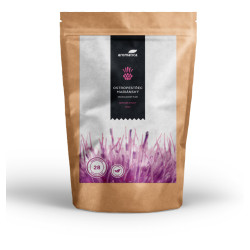 AROMATICA Ostropestřec mariánský 200 g