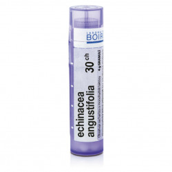 BOIRON Echinacea Angustifolia CH30 4 g