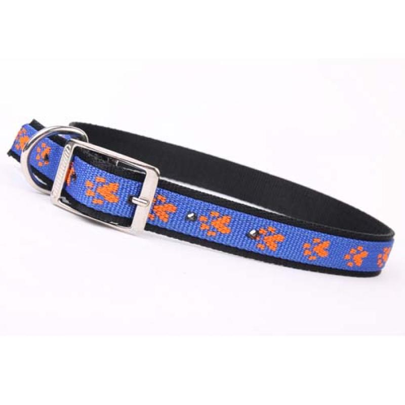 Cobbyspet obojek paw motives 30mm/65cm -modrá /oranžová