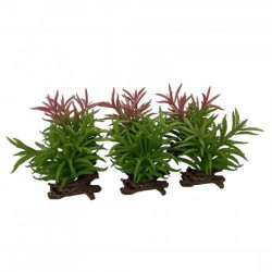 Ebi TERRA DELLA Rostlina umělá CRASSULA M mix farby 16cm 1ks