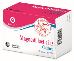 GALMED Magnesii lactici 0,5 g 100 tablet