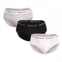 GANT 3PACK pánské slipy vícebarevné (900013001-093) L