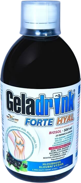 GELADRINK Forte HYAL biosol černý rybíz 500 ml