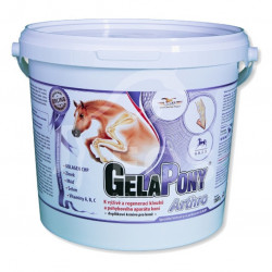 GELAPONY Arthro 1800 g a.u.v.