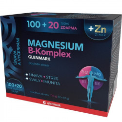 GLENMARK Magnesium B-komplex Glenmark 120 ks