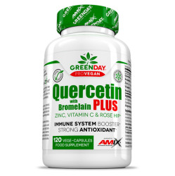 GREENDAY ProVegan Quercetin s bromelainem plus 120 kapslí