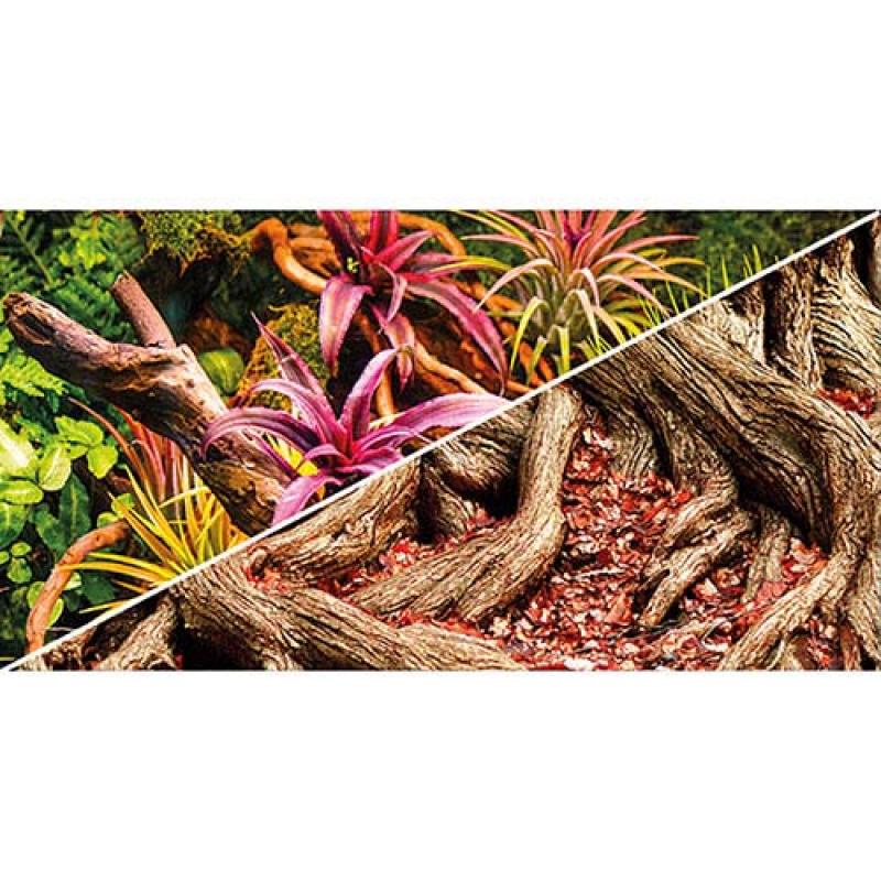 Hobby Pozadí oboustranné Jungle / Strangler Fig 30cm x 25m