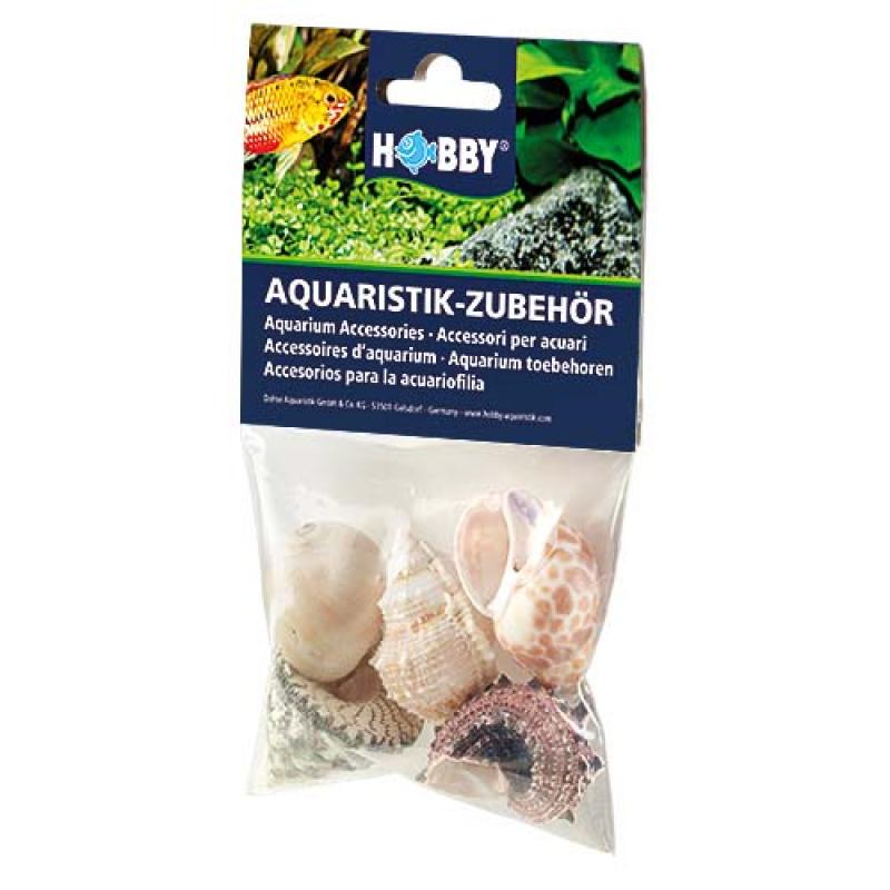 Hobby Sea Shells Set L 5ks- dekorace do akvária