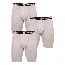 Horsefeathers 3PACK pánské boxerky Dynasty long (AM195C) L