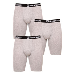 Horsefeathers 3PACK pánské boxerky Dynasty long (AM195C) M