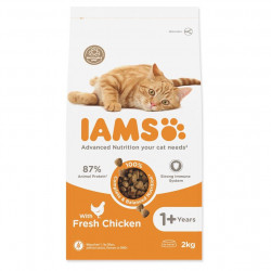 IAMS Cat Adult Chicken krmivo pro kočky 1 kus, Hmotnost balení (g): 2 kg