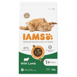 IAMS Cat Adult Lamb granule pro kočky 1 kus, Hmotnost balení (g): 2 kg