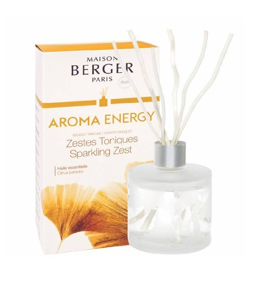 Maison Berger Paris Aroma difuzér Energy Čerstvé tonikum 180 ml