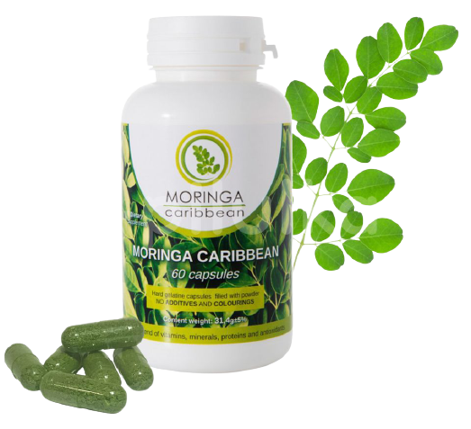 MORINGA CARIBBEAN Standard 60 kapsúl