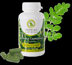 MORINGA CARIBBEAN Standard 60 kapsúl