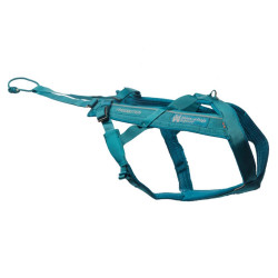 NON-STOP Dogwear Freemotion harness 5.0 teal postroj pro psy 1 ks, Velikost postroje: 3