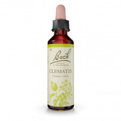 ORIGINAL BACH® Clematis 20 ml