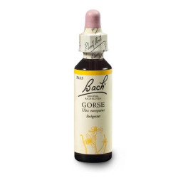 ORIGINAL BACH® Gorse 20 ml