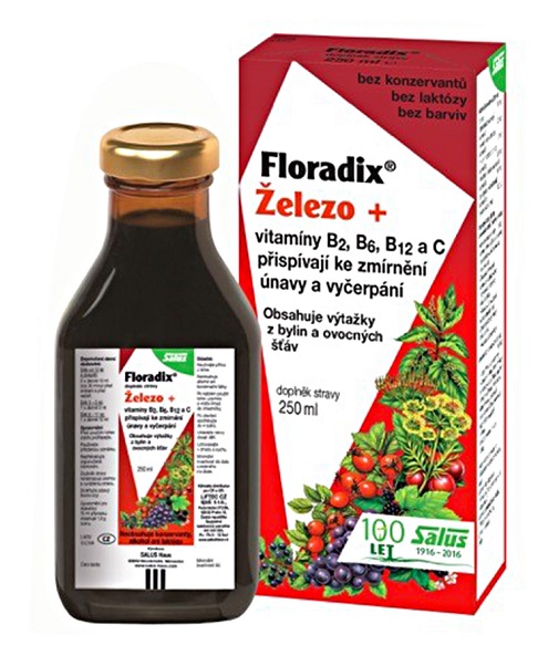 SALUS Floradix Železo+ 500 ml