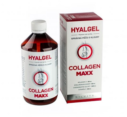 SILVITA Hyalgel Collagen MAXX 500 ml