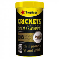 Tropical Crickets 100ml/10g sušených cvrčků pro plazy