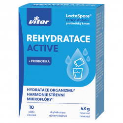 VITAR Rehydratace active 10 sáčků