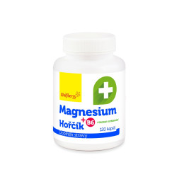 Wolfberry Magnesium + B6 120 kapslí