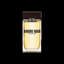 YVES ROCHER Ambre Noir EdT 100 ml