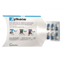 ZYLKENE pro velké psy od 15 kg do 60 kg 10 kapslí